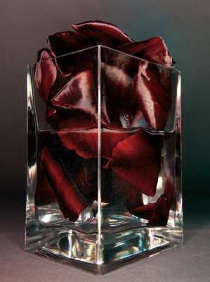"Anamorphic Still" no 10